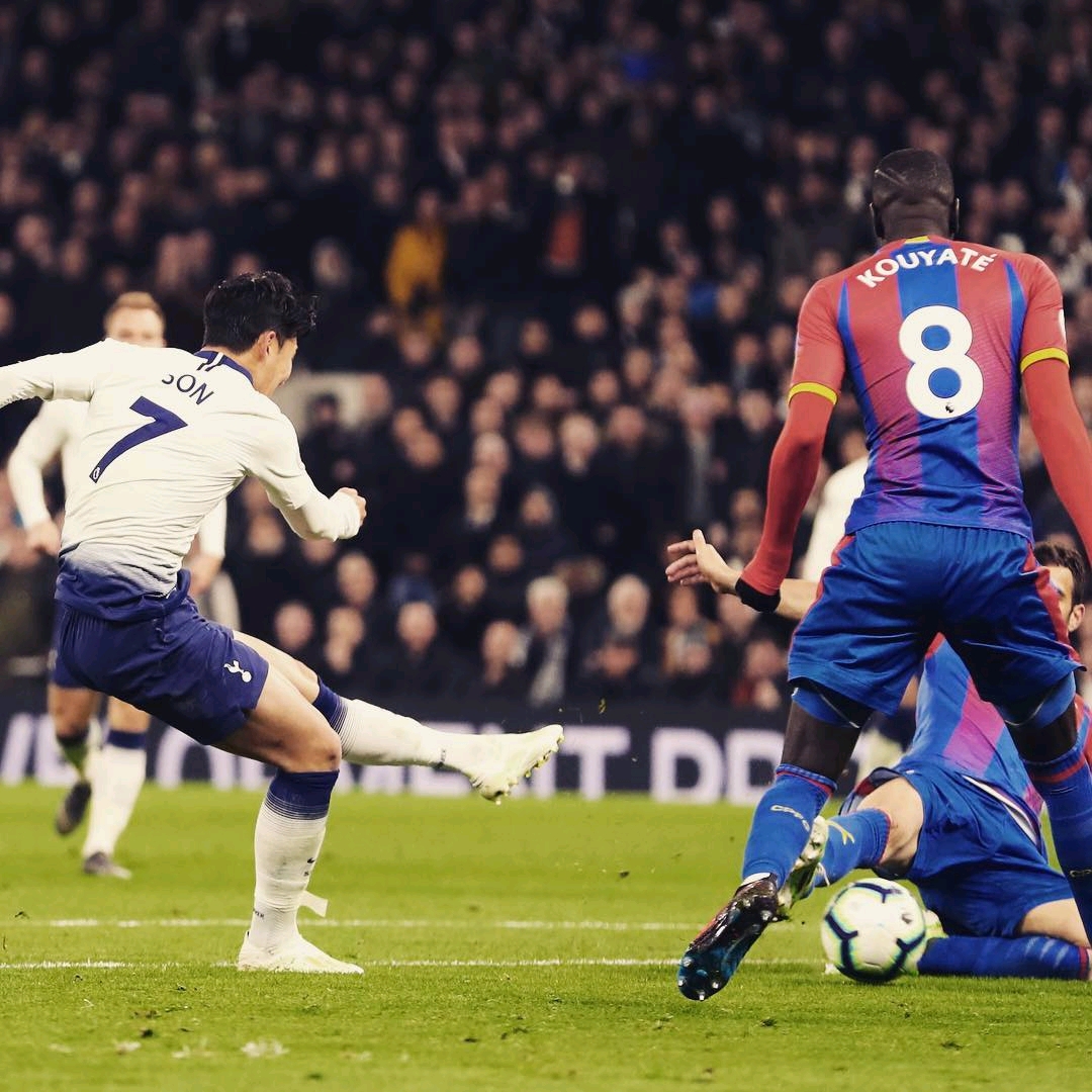 的项目不仅 的项目不仅